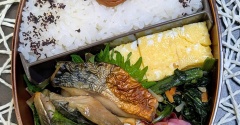 調整でお魚多めのお弁当～夫のお弁当491
