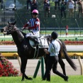 ロブチェン（26/05/31・第93回 東京優駿・東京競馬場）