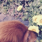 □my Game■ かわるものかわらないもの