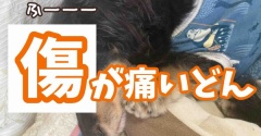 病院行ってきた。