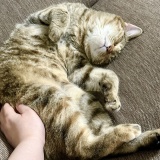 告知のみ日記♪