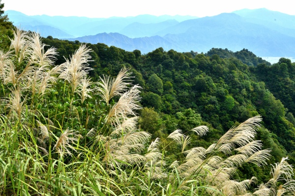 日本の原風景 Amazon.co.jp: 日本の原風景99 : 近藤 正文: 本