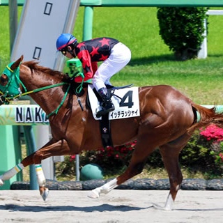 ☆うまなみ・競馬にゅーす速報