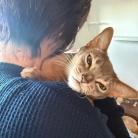 猫たち、Tちゃんをすっかり家族と思ってるような…