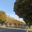 水の都、カリーニングラード｜防御壁の上を散策（2024年2月9日）