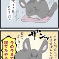 特に寂しくなかったよね？