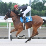 『【遠征馬情報】札幌競馬場・すずらん賞に、ホッカイドウ競馬から6頭参戦！』の画像