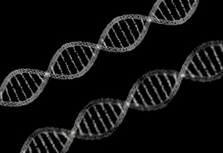 【絶望】4歳児の父親さん「DNA鑑定で俺の子供じゃなかった」ﾊﾟｼｬ→ 衝撃の画像がこれ。。。。。