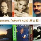 ■ Light Mellow presents WHAT’S AOR？ Vol.13 ＠西荻窪・3313アナログ天国　開催間近！