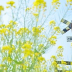 KAN photo blog　