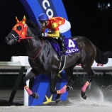 『【8/5メインレースレポート】④ベルピット（牡5＝角川秀樹厩舎）が堂々連覇達成！ 第11回旭岳賞〔H3〕』の画像