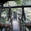 　徳島のご当地そんぐ・その３（祖谷のかずら橋）