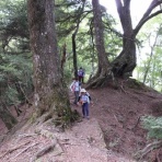 山の旅社 ガイドの日記 豊橋木戸