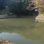 冬ソナの主人公達といつも一緒！！ Tyunnsanのブログ