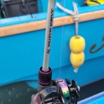 ふなはしゆめとブログ