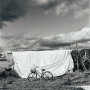 Rolleicordは同い年