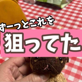 メルロコ一家の横須賀ストーリー
