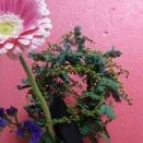 大好きな色、ピンク色