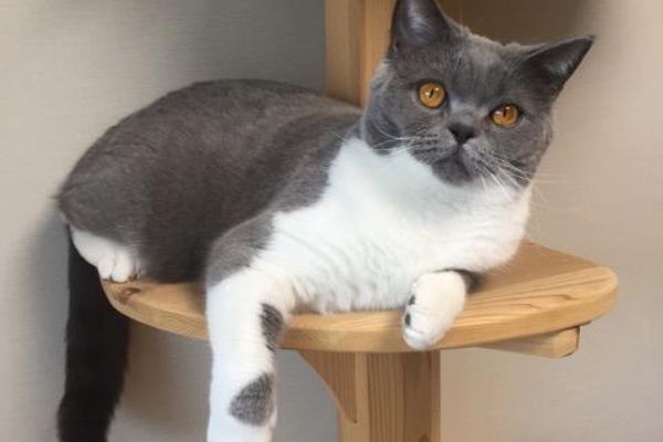 待つことだけが人生だ ファミリーセール