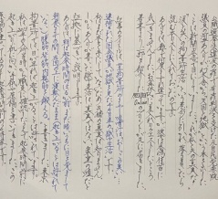 案里の嘘