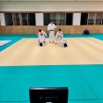 柔道(7.9)