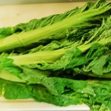 『国東の食環境（468）カツオ菜』の画像