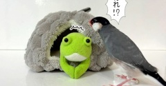 不法侵入を許してもらう方法