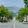 北海道の函館市とかいう市について知っていること