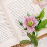 『経済的にも無理』の画像