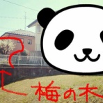 やぎ母ちゃん日記