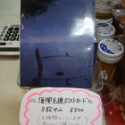 �������ٱ�ݥ��ȥ����ɡ٤β���