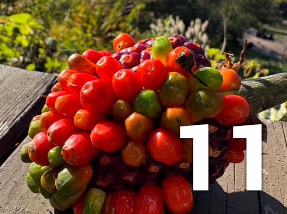 コストパフォーマンスが高い実用アイテム