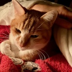 だいじろう日和。