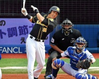 阪神ナバーロ .288(146-42)  2本 19打点 OPS.727
