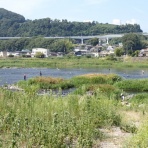 鮎・渓流いろいろ釣行記 Ⅱ