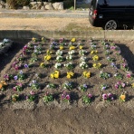 向島ポンポコ日記