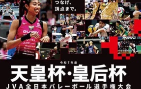 バレー・天皇杯の試合中にコンタクトレンズが落ちるアクシデント！　敵味方みんなで探す風景が話題に