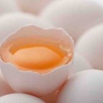 絶望に抗え投げやり人生録