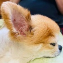 べつに、なかよくないよ