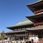 藤倉商店三代目の店長日記