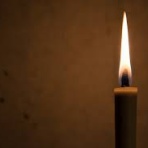 【閲覧注意】怪談の森【怖い話】