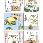 うまみちゃんの台所