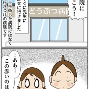  飼い犬ティアラが病気になった話【最終回 今回思ったこと】