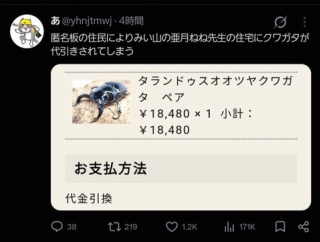 【悲報】亜月ねね先生、なんG民に着払いで生きたクワガタを送り付けられる