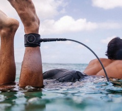 【新作入荷】FCSリーシュ