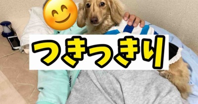 パパさん療養中。