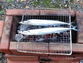 焼き秋刀魚もフレンチも食べたい