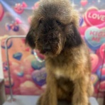 沖縄県宜野湾市　ワンラブ　MEGAドン・キホーテ宜野湾店　ブログ