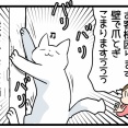 パワー型猫の爪とぎ対策した話とおススメ