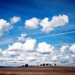 28歳で全く知り合いのいない土地に行くのって無謀？ 	